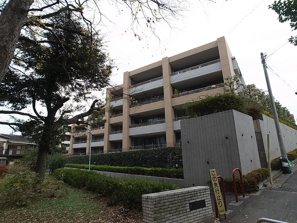 Local appearance photo. Local (12 May 2013) Shooting