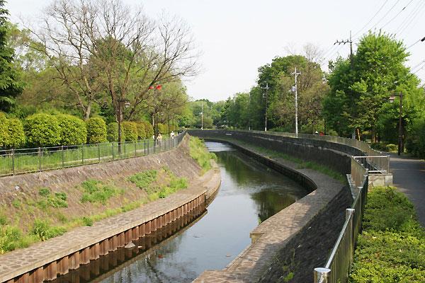 Other Environmental Photo. Zenpukuji to green space 283m