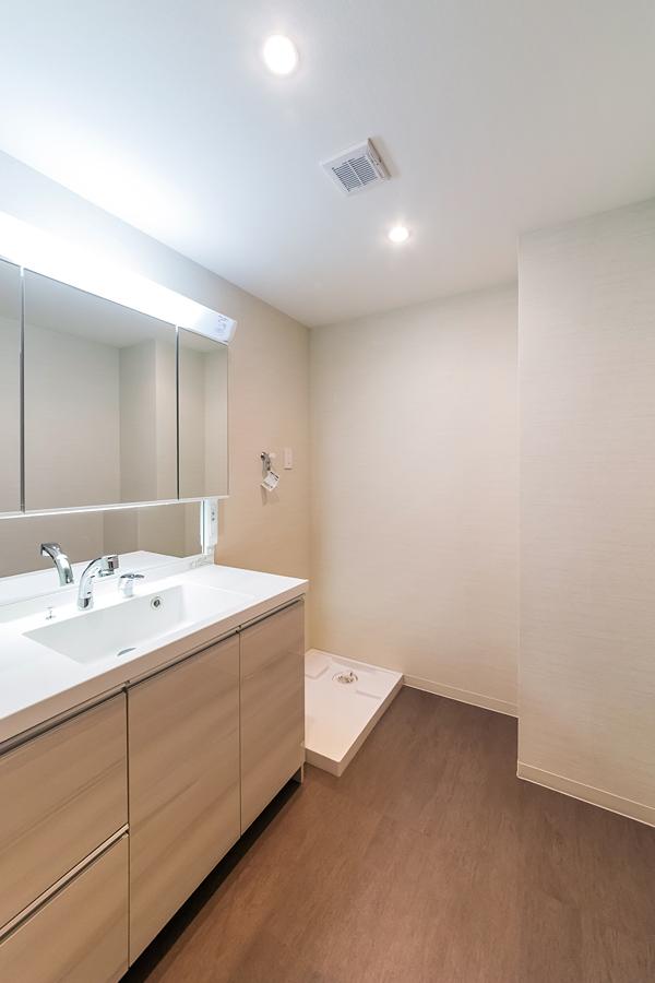 Wash basin, toilet. Noritsu made vanity