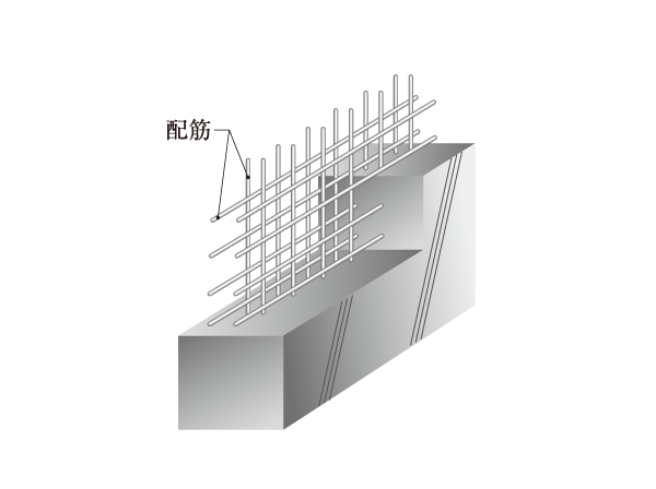 Building structure.  [High strength and durability double reinforcement] Even in reinforced concrete apartment, There is a difference in the structure, Also different strength and durability of the level. In the "open cash register Den Shea Asagaya", In the process of assembling a rebar in a grid-like or box-like, Wall corresponding to the main structure has a standard double reinforcement to partner the rebar to double. Double Haisuji is, To achieve high strength and durability than the single Haisuji. (Not exposed to the main structure part handrail wall ・ Outside 構塀 etc. become single Haisuji. )(Conceptual diagram)
