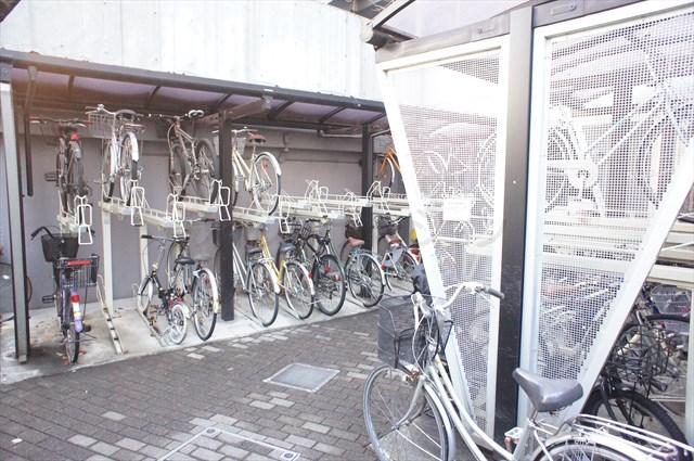 Parking lot. Local (January 6, 2014) Shooting