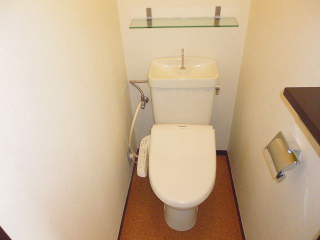 Toilet. Toilet with a bidet