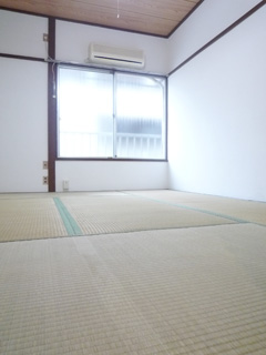 Living and room. Living