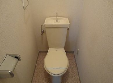 Toilet. Bus toilet by