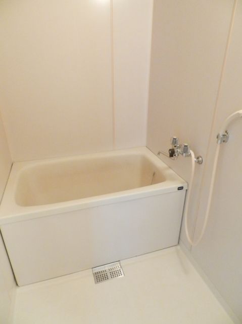 Bath. bus, It is another toilet