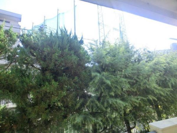 View photos from the dwelling unit