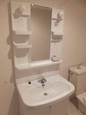 Washroom. Shampoo dresser