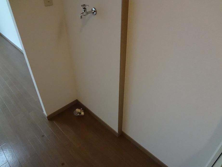 Washroom. It is indoor washing machine Storage.