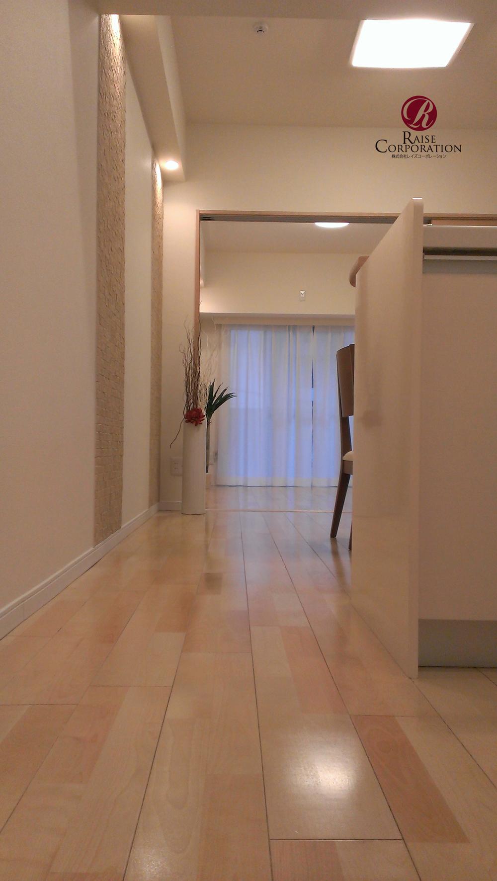 Other introspection. From the front door, Through the hallway to the living room