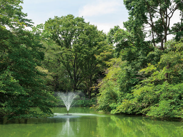 Surrounding environment. Metropolitan Wada moat park (about 2530m ・ Walk 32 minutes)