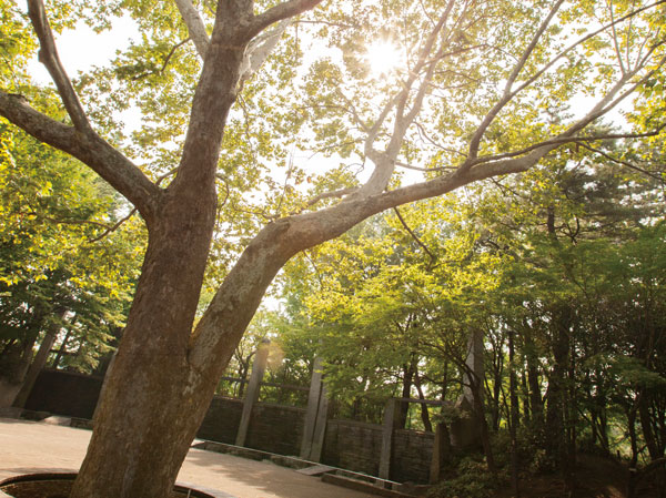 Surrounding environment. Sanshinomorikoen (about 1240m ・ 16-minute walk)
