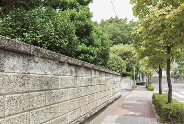 Other. Lush surrounding streets (about 310m)