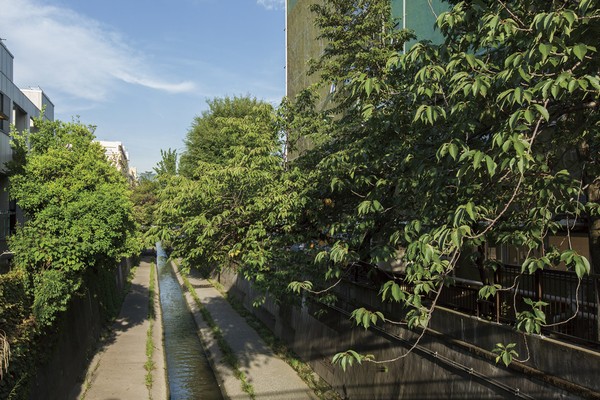Other. Kanda flowing near River (about 220m)