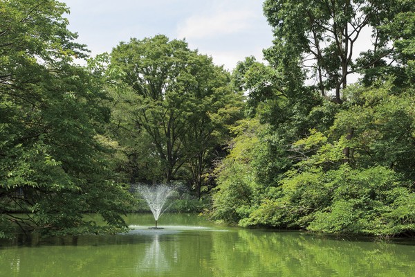 Other. Wada moat park (about 2530m)