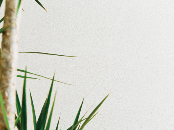 Interior.  [Wall diatomaceous earth finish, Ceiling diatomaceous earth cross] The walls of each room is subjected to a diatomaceous earth finish of natural materials, The ceiling part has arranged diatomaceous earth cross. Adsorbing harmful chemicals such as formaldehyde, Mite by excellent humidity conditioning ・ The other to suppress the occurrence of mold, Also demonstrated antibacterial effect and deodorant effect. Since the static electricity hardly occurs, With less dust, Also it has properties that prevent the condensation. (Same specifications)