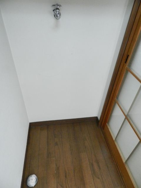 Other room space. It is indoor washing machine Storage.