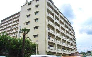 Suginami-ku, Tokyo Honan 1