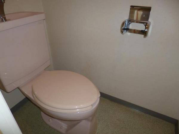 Toilet. But please use clean