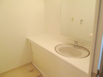 Washroom. Wash basin