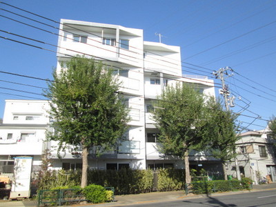 Building appearance. Clean white appearance