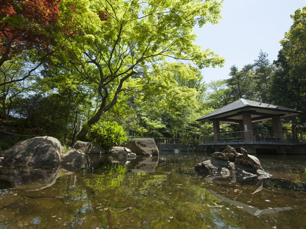 Surrounding environment. Sanshinomorikoen (about 320m ・ A 4-minute walk) a 4-minute walk from the local, Adjacent to the "east Koenji" station "Sanshinomorikoen" is, Large park that the total area of ​​about 27000 sq m. Natural environment is valuable that this about the scale of the park is located in front of the station. Also, "Sanshinomorikoen" is, Elementary schools and public sports facilities and are integrally maintenance, Such as also plays disaster prevention function of region, It is a park with a lot of features.