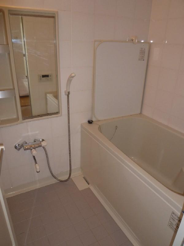 Bathroom. Western-style about 6.0 tatami mats (10 May 2013) Shooting