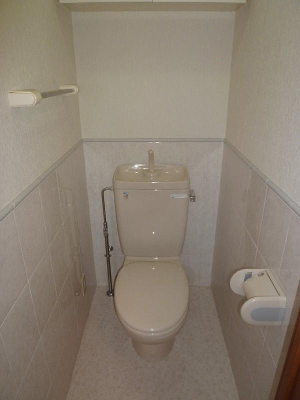 Toilet. Indoor (10 May 2013) Shooting