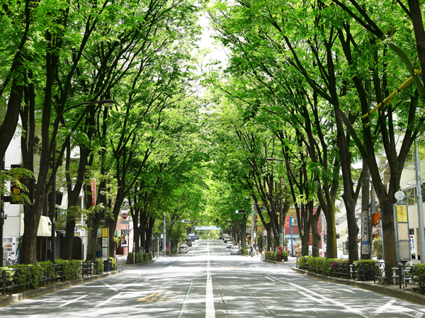 Surrounding environment. Cityscape with calm spreads "Asagaya". A prime location in the 9-minute walk from the train station north exit, Mansion is born worthy of the appearance of this town. Local is, Where the beautiful zelkova tree-lined as a symbol of Asagaya has entered one from straight extend "Nakasugi Street". In the land of silence that has been wrapped around the green, "Park Holmes Asagaya" is born. (Nakasugi Street / 2-minute walk ・ About 90m)