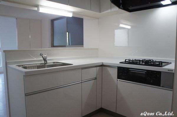 Kitchen. Indoor (12 May 2013) Shooting