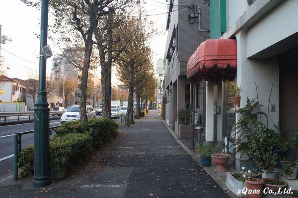 Local photos, including front road. Local (12 May 2013) Shooting