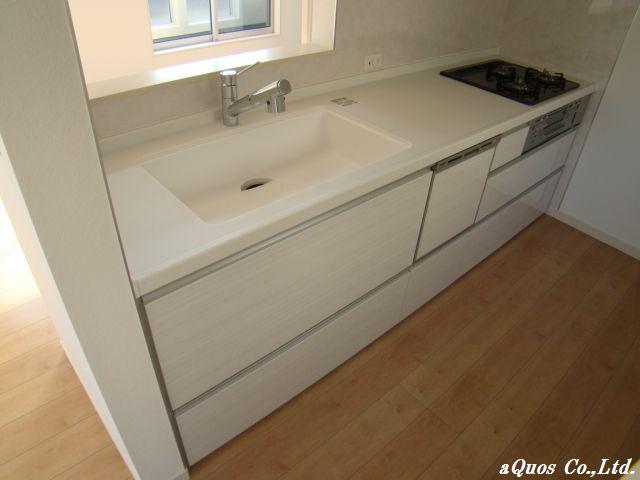 Kitchen. Indoor (10 May 2013) Shooting