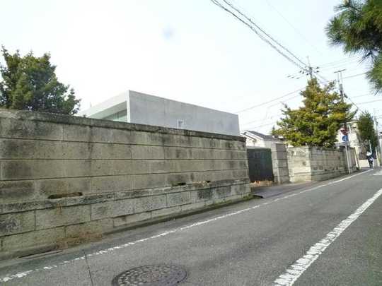 Local land photo. Local appearance