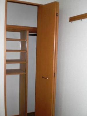 Living and room. Shoes BOX