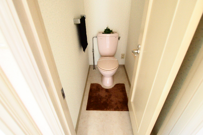 Toilet. Toilet room of space