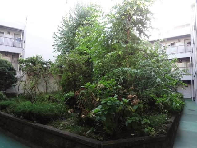 Other common areas. courtyard