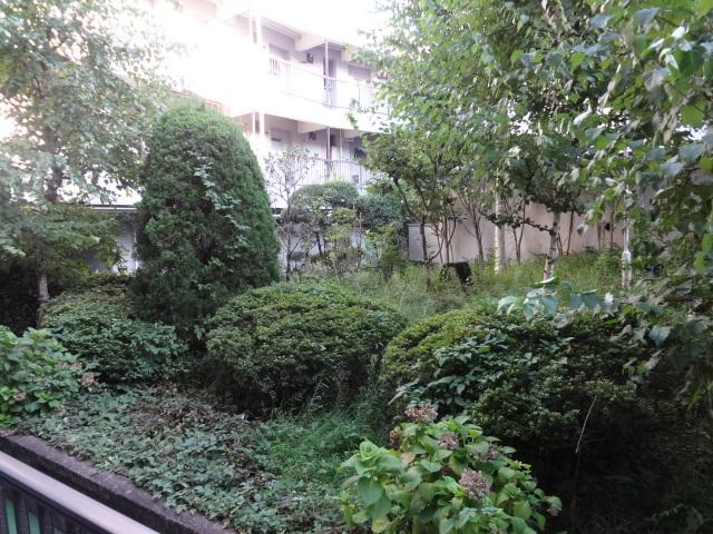 Other common areas. courtyard