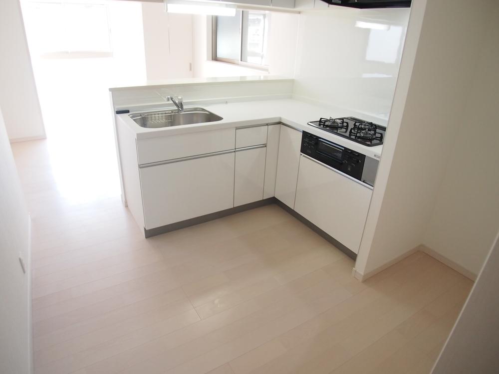 Kitchen. Indoor (11 May 2013) Shooting