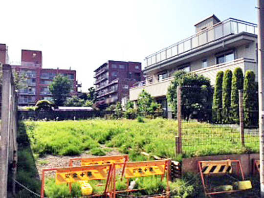 Local land photo. appearance