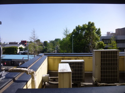 View. Landscape from the living room