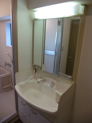 Washroom. Independent wash basin