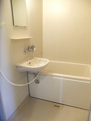 Bath. ※ Image will be the other issue chamber.