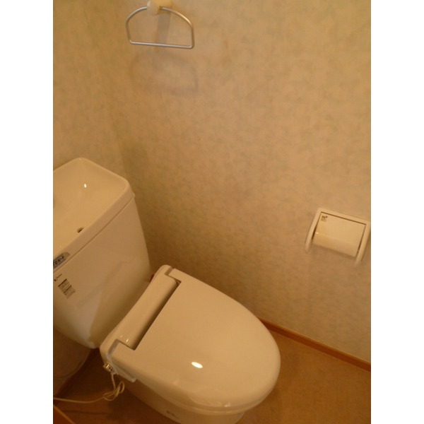 Toilet. There is a shelf in the toilet!