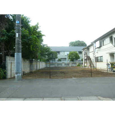 Local land photo. Local 1 (taken from the south side of the driveway)