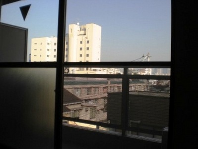 View. View from the room