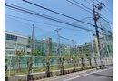 high school ・ College. 1054m to Tokyo Metropolitan Ogikubo High School