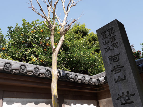 Surrounding environment. Ata Taniyama Shokakuji Blessed One Institute (a 10-minute walk ・ About 770m)