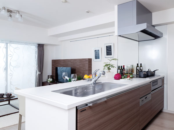 Room and equipment. Kitchen