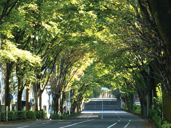 Surrounding environment. Nakasugi Street