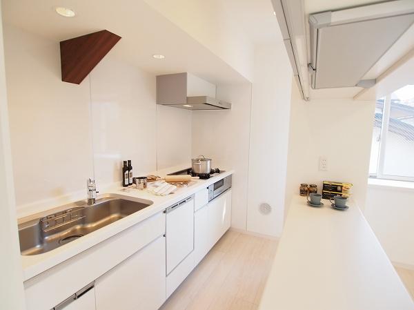 Kitchen. Indoor (12 May 2013) Shooting