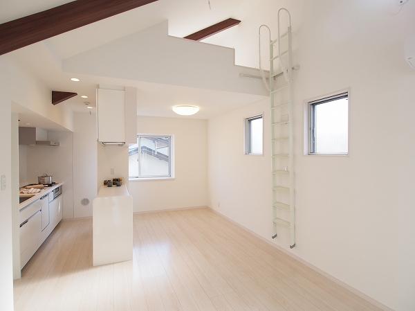 Living. Indoor (12 May 2013) Shooting